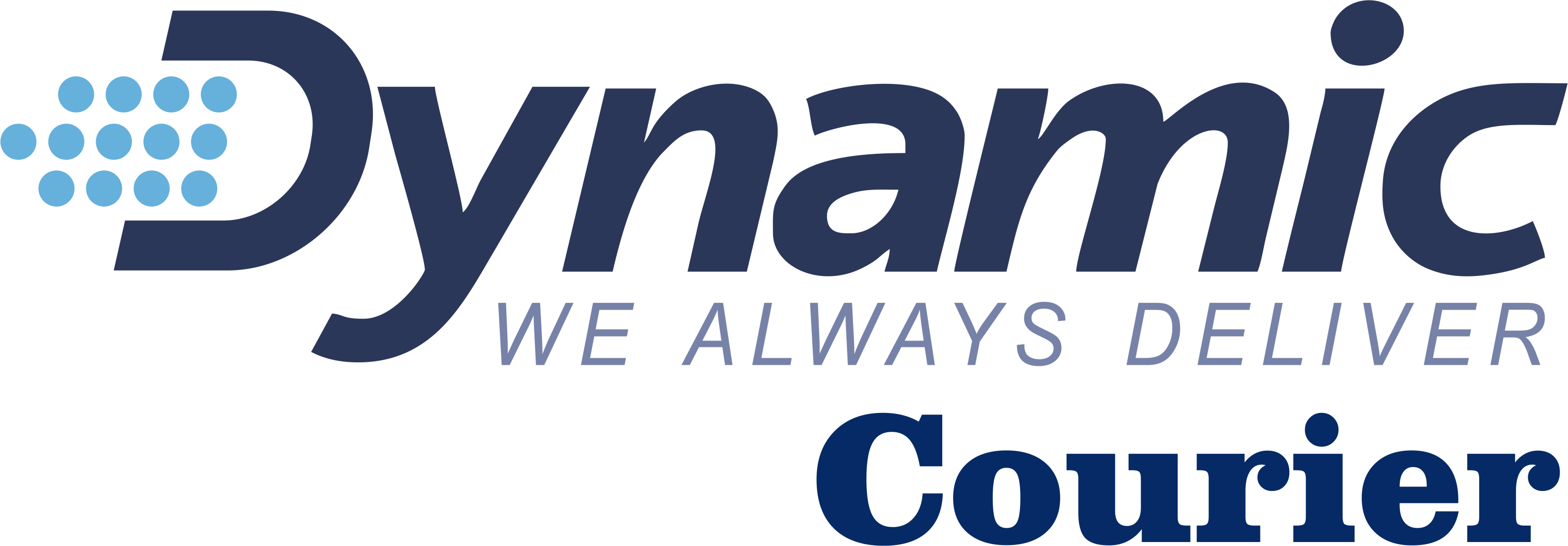 Dynamic International Courier & Cargo logo